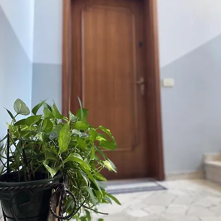 Flat Apartment *